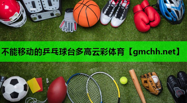 不能移动的乒乓球台多高云彩体育