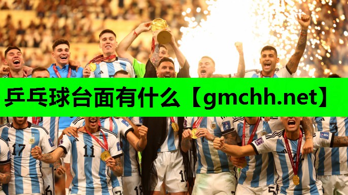 乒乓球台面有什么